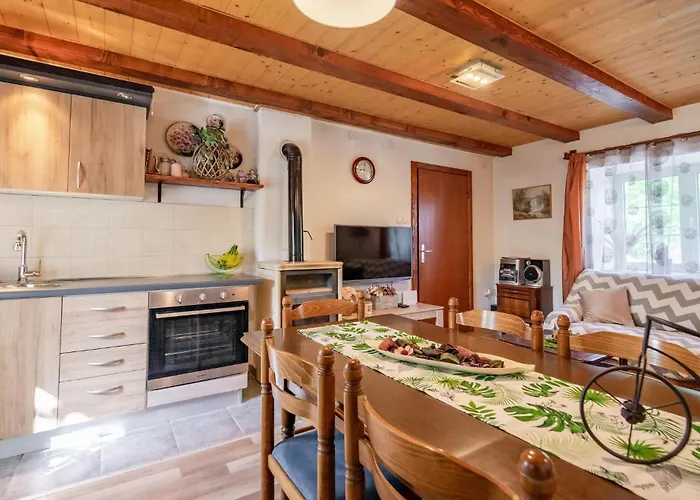 2 Bedroom In Case de vacanță Fužine